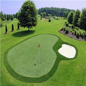 Artificial Synthetic Turf for golf